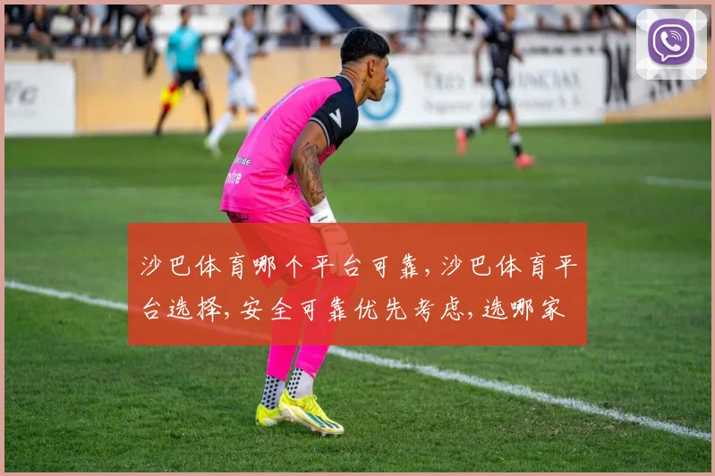 沙巴体育哪个平台可靠,沙巴体育平台选择,安全可靠优先考虑,选哪家