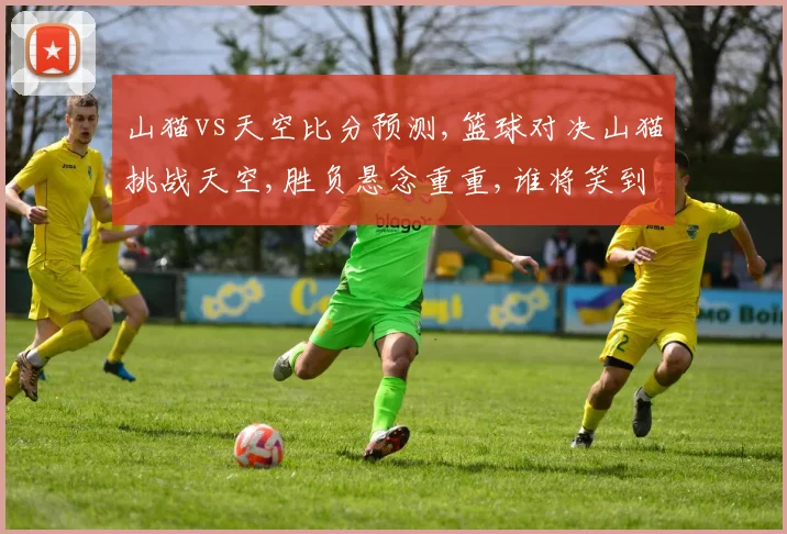 山猫vs天空比分预测,篮球对决山猫挑战天空,胜负悬念重重,谁将笑到最后